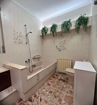 BañoGrande1