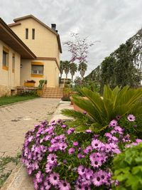 Exterior2