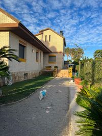 Lateral